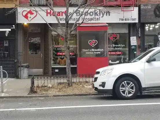 Heart of Brooklyn Veterinary Hospital - Fort Greene