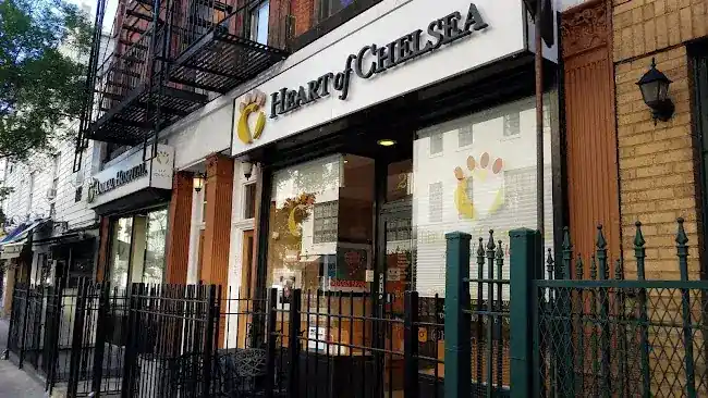 Heart of Chelsea Veterinary Group - Chelsea