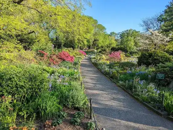 Heather Garden