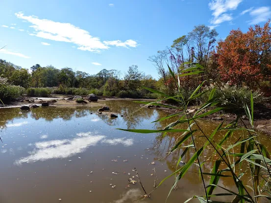 Hempstead Harbor Natural Area