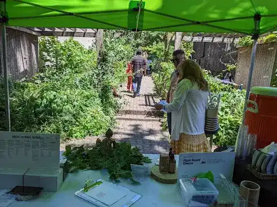 Herb Garden