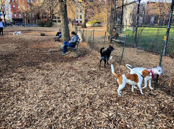 Herbert Von King Park Dog Run
