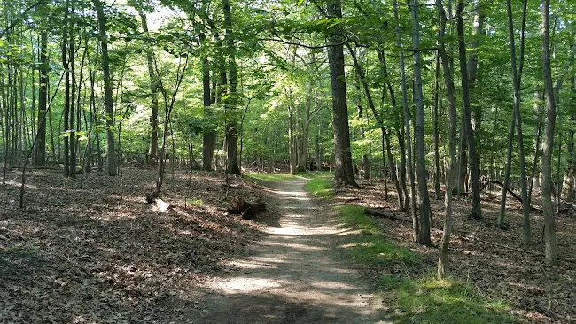 High Mountain Park Preserve