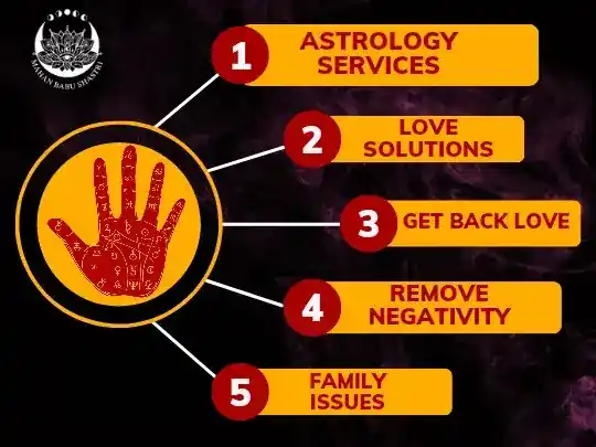 Hindu Temple Of Astrology & Spiritual Psychic Reading Mahan Babu Shastri