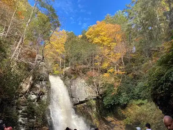 Hines Tours - Nature & History Tours from NYC