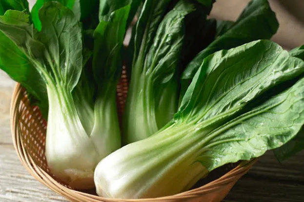 HK Produce Group Inc (DBA Y2S Trading)