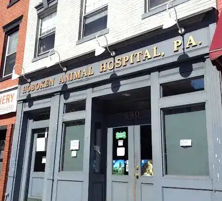 Hoboken Animal Hospital