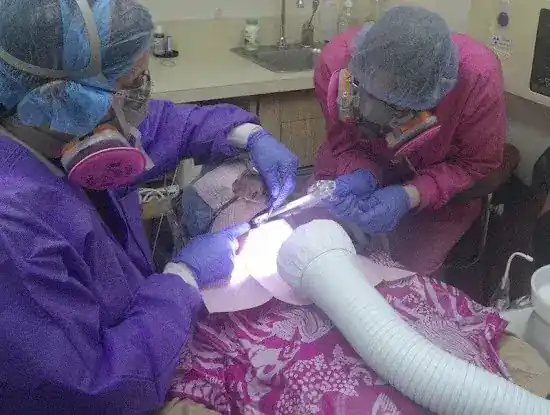 Holistic Dentist New York