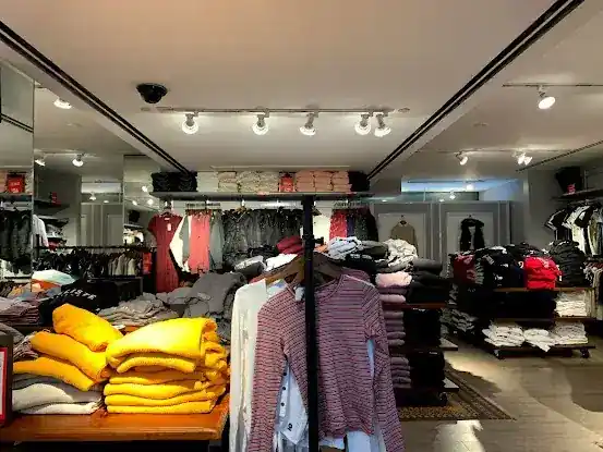 Hollister Co.