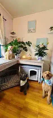 Home Away From Home Pet Services