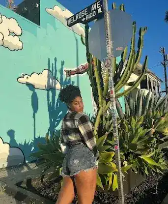 Home & Garden