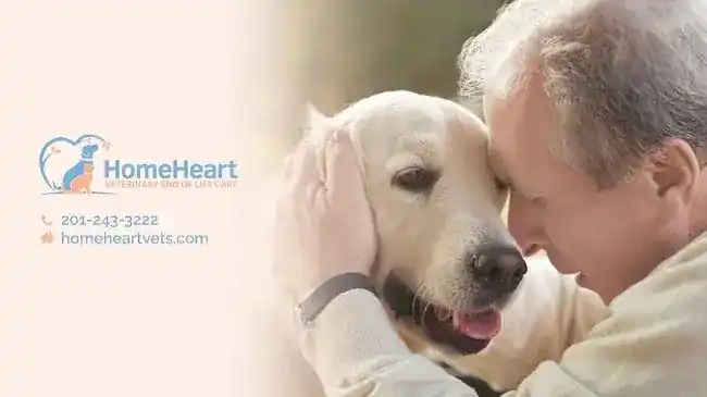 HomeHeart Vets