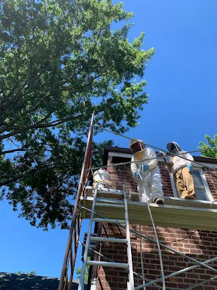 Honeybee Helper at Stone Ridge Apiaries