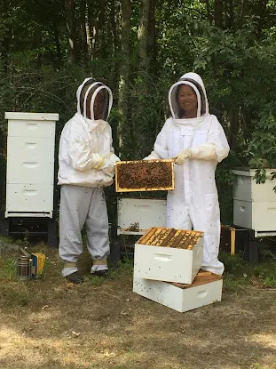 HoneyGramz (Raw Honey, Kosher Honey, NYC Bees, Honey For Mead, and Gifts )