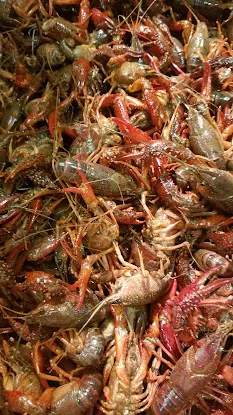 Hong's Seafood Corp.