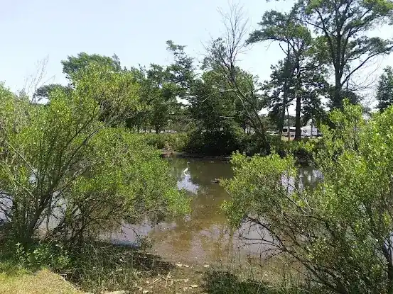 Hook Creek Park