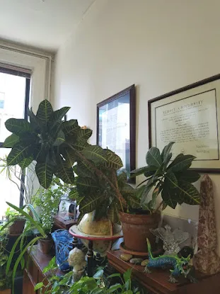 Horticultural Help
