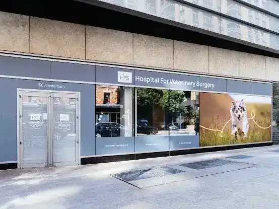 Hospital For Veterinary Surgery