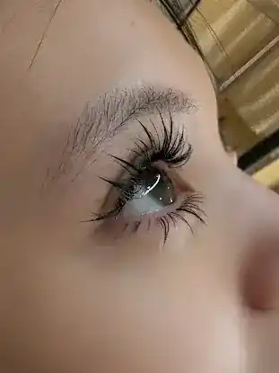 Hottie Lash