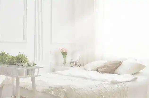 House Cleaning Maid
