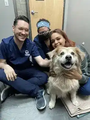 Hudson Animal Hospital