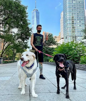 Hudson's Hounds NYC