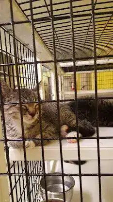Humane Society Of Bergen County