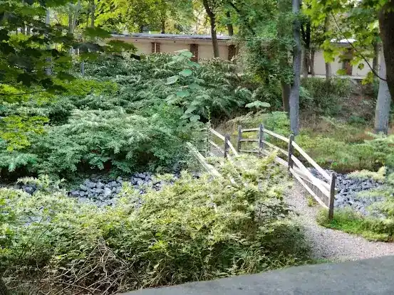 Hunt Woods Park