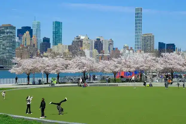 Hunter's Point South Park