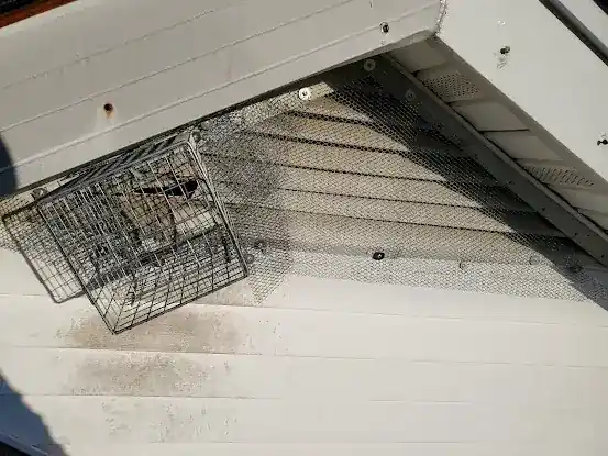 Hunters Wildlife Removal Contractors