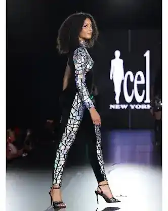 Icel New York