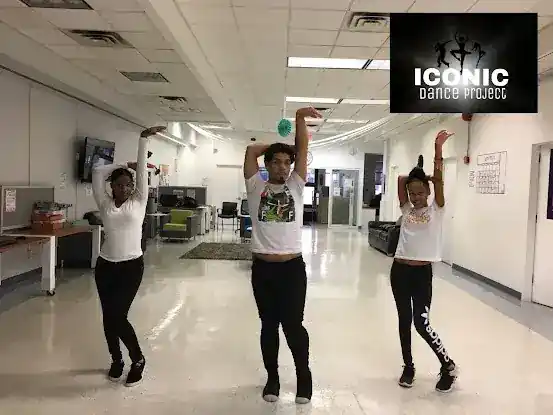 Iconic Dance Project, Arts and Entertainment Company