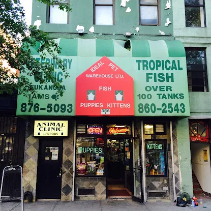 Ideal Pet Veterinary Clinic