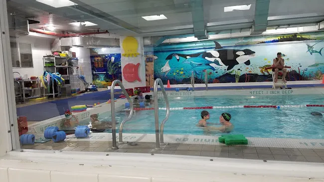 Imagine Swimming