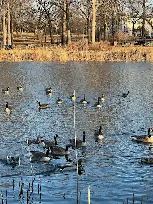Indian Pond