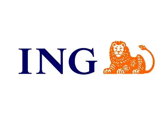 ING Financial Services LLC