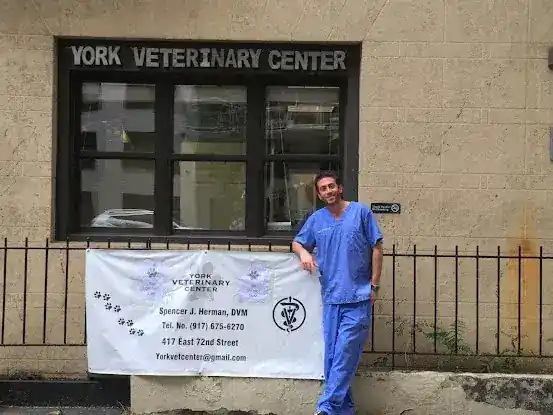 InstaVet