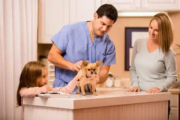 InstaVet Housecall - At Home Euthanasia Service