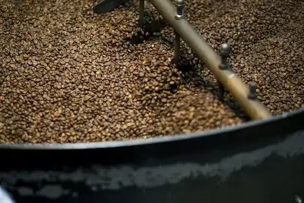 Intelligentsia