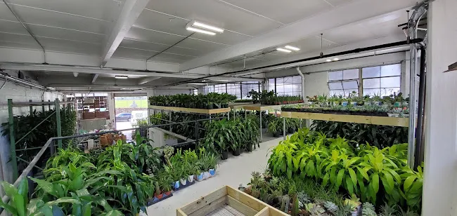 Interior Foliage Design