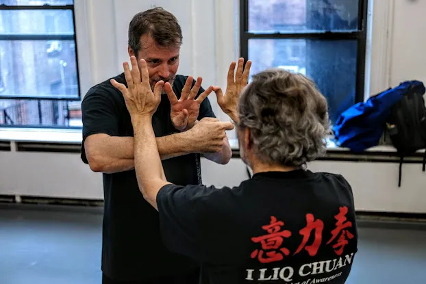 Internal Arts Training