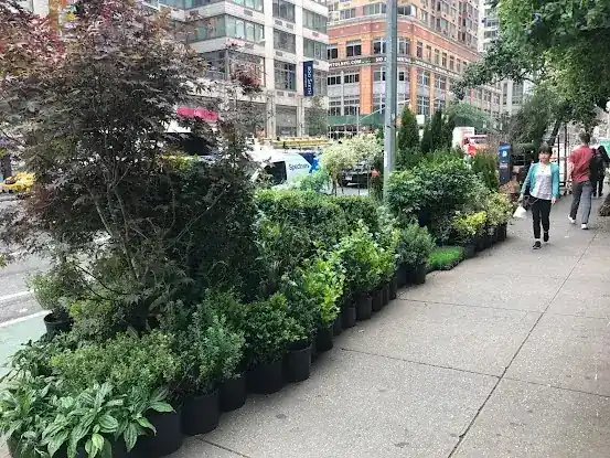 International Garden