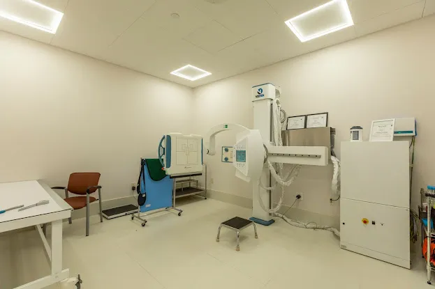 iOrtho - The Orthopedic Institute