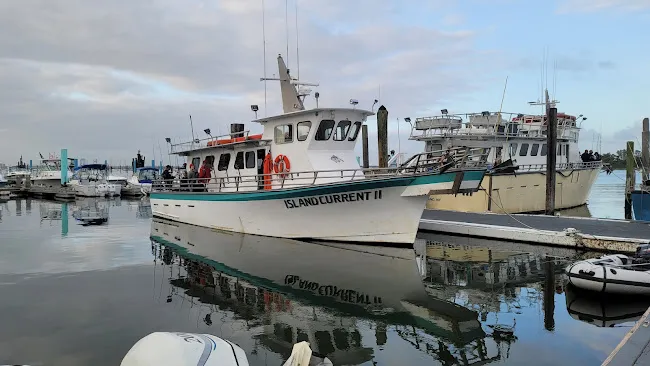 Island Current Fleet