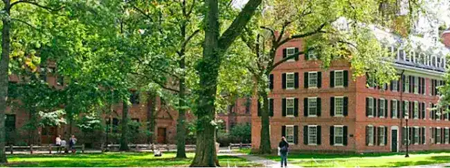 Ivy League Essay