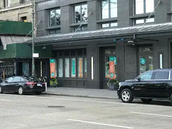 Ivy Pets - Tribeca