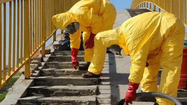J and J Asbestos Abatement Corp.