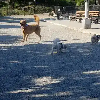 J. Hood Wright Park Dog Run