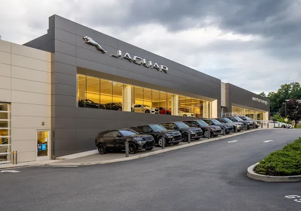 Jaguar White Plains