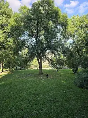 James Baldwin Lawn